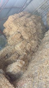 Hay And Straw Small Square Bales