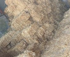 Hay And Straw Small Square Bales