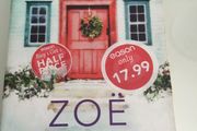 Books. "The Visitor' by Zoe Miller.
