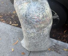 paper
