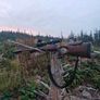 Deer stalker looking for hunting grounds Image 2