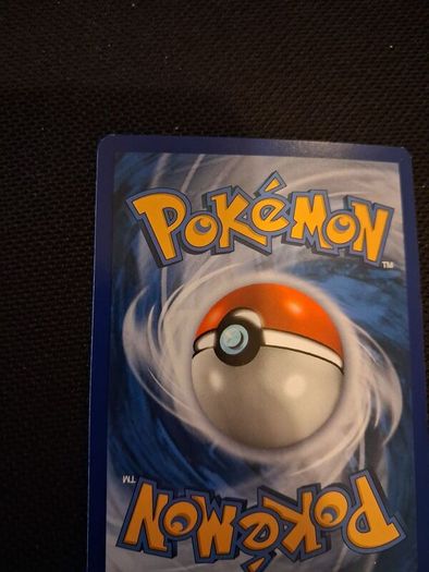 Pokemon Card : Shauna 111a