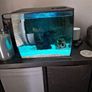 fluval flex fish tank 34L Image 5