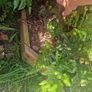 Planters Image 6
