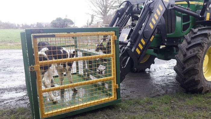 Calf Transport Crate For Sale in Cork City Centre, Cork from anthonydowning