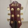 Electric Guitar Image 4