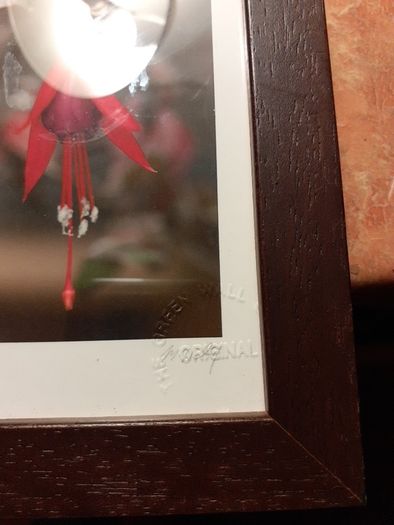 Art.