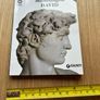 Michelangelo DAVID published by Giunt Image 9