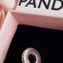 New genuine pandora mother in law  charm Image 2