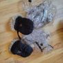 Stokke Xplory 3-in-1 Travel System Image 6