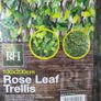 Trellis Image 3