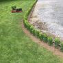 Box Hedging Image 2