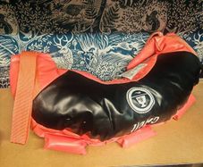 8kg sandbag