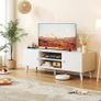 TV Stand for 55, 65 Inch TV, Entertainment Center with Adjustable Shelf, TV Console with 2 Cabinets, Media Console, Storage White TV Stand, 4 Cord Holes, for Living Room, Bedroom - White Image 4