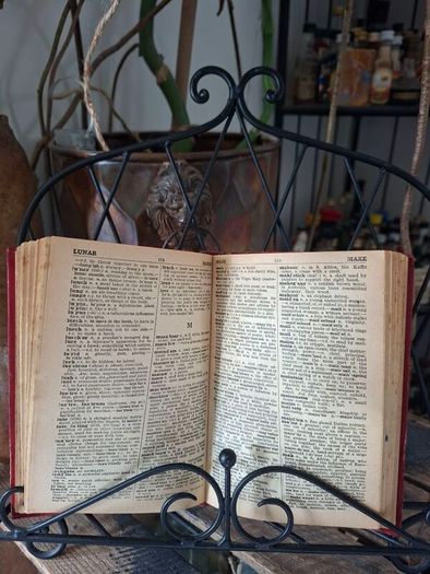 Vintage Dictionary