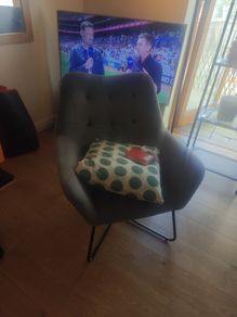 Velvet Chair