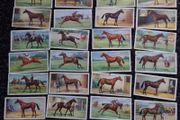 John Player and Sons Cigarette Cards - Racehorses - 1926 , Full Set