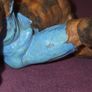 Papo Fantasy Werewolf Figure Image 7