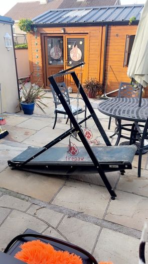 Dog treadmill