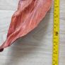 Vintage Rare Find Decorative Leather Mask. Image 3