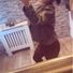 myaaaaf1x