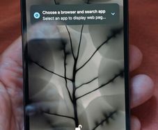 Nothing phone 1