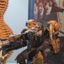 Warhammer Tau Army Image 2