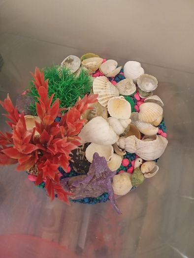 fish tank 50 liters with see decorations, just add water and your pet, ready to use