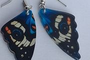 Blue Pansy Butterfly Wing Earrings