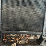 Leyland 245/International 574 parts Image 5