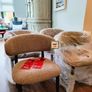 Brand New Dining Chairs x 4 (EZ living, still in original packaging) Image 4