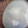 Light Image 5