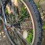 bicycle Image 3