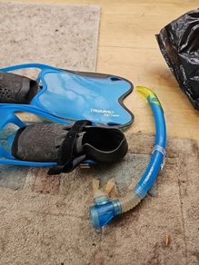 Flippers junior