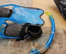 Flippers junior