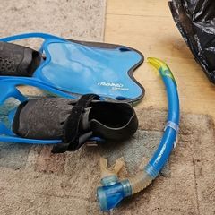 Flippers junior
