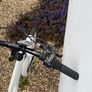 Girls Bike for Sale + Helmet + Safety Gear Set Image 2