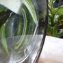 Antique Optical Lantern Condenser Lens/Magnifier, Heavy Desk Piece, 6.25 inches, 2kg Image 4