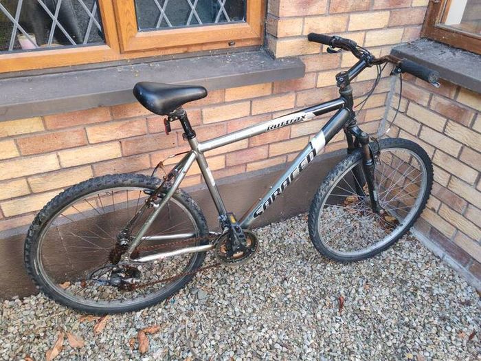 Adult Mountain bike