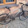 Adult Mountain bike Image 3