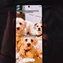 Samsung Flip 7 Image 4