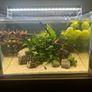 Superfish Scaper 45 Image 7
