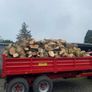 Firewood Image 3