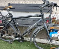 trek bike