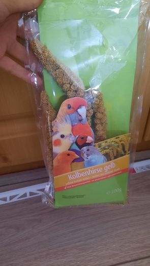 Hamster/Bird Cage