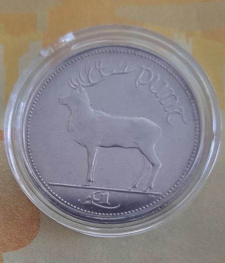 1 Punt coin collectable in case