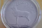 1 Punt coin collectable in case