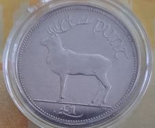 1 Punt coin collectable in case