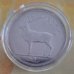 1 Punt coin collectable in case