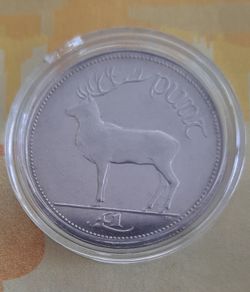 1 Punt coin collectable in case